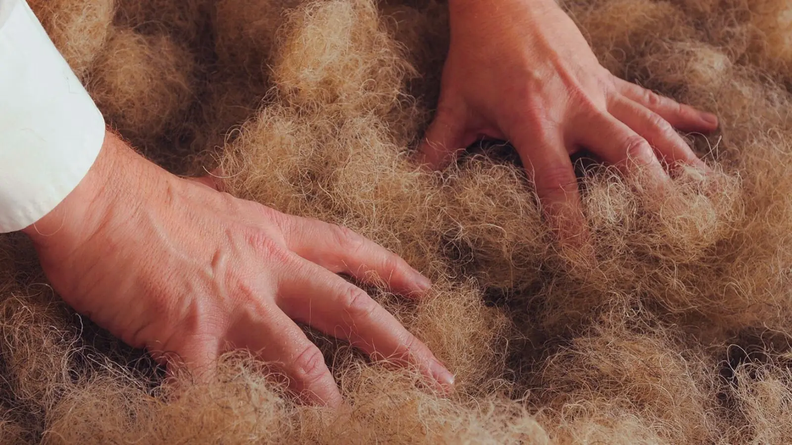 Hands working with natural horsehair filling for a handmade mattress